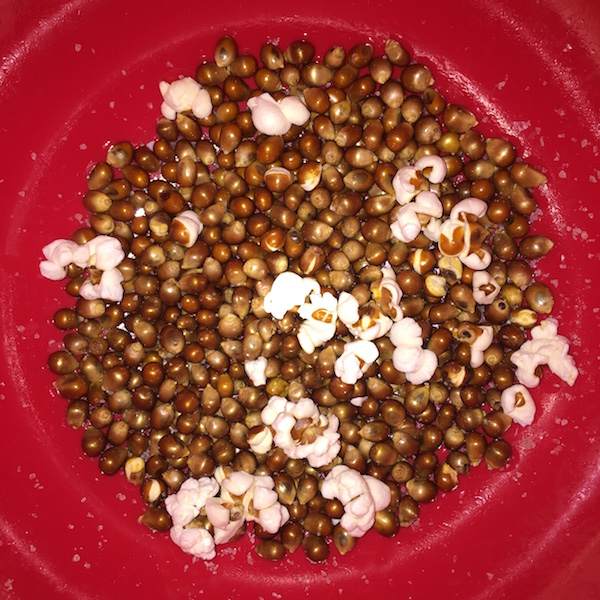 unpopped kernels